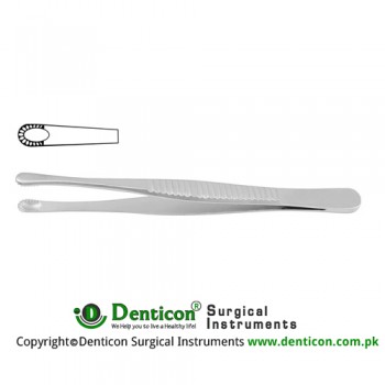 Russian Modell Dissecting Forceps Stainless Steel, 20 cm - 8"
